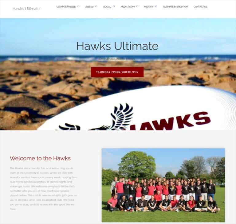 High-performance Ultimate Frisbee team at Sussex, training, playing, and thriving in a friendly sports environment.